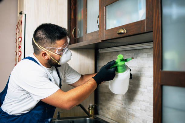 Best Pest Inspection Near Me  in Danielson, CT