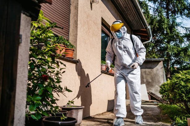 Best Mosquito Control Services  in Danielson, CT