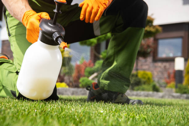 Best Affordable Pest Control Services  in Danielson, CT