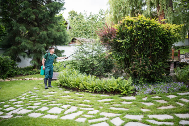 Best Affordable Pest Control Services  in Danielson, CT