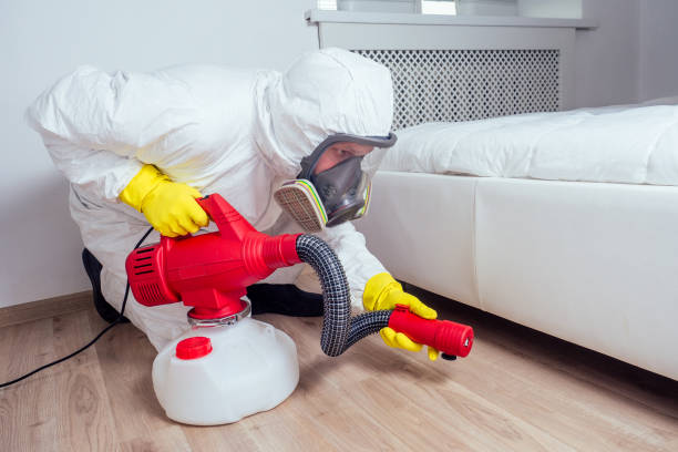 Best Bed Bug Extermination  in Danielson, CT