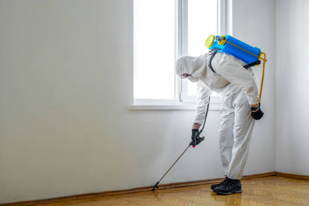Best Insect Control  in Danielson, CT