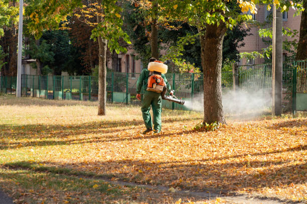 Best Spider Control Near Me  in Danielson, CT
