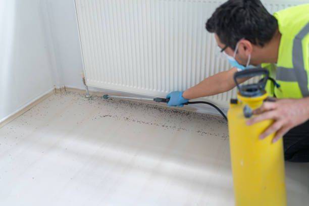 Best Exterminator Services  in Danielson, CT