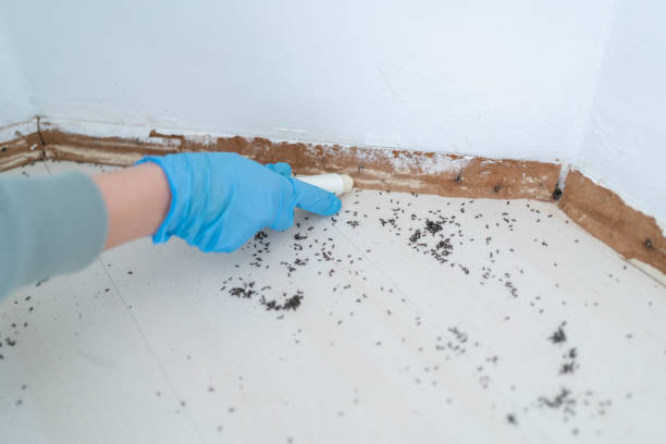Danielson, CT Pest Control Company