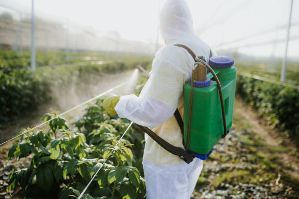 Best Bed Bug Extermination  in Danielson, CT
